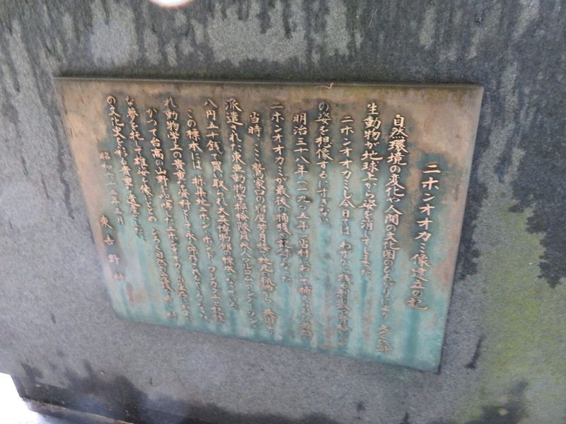 イメージ 6