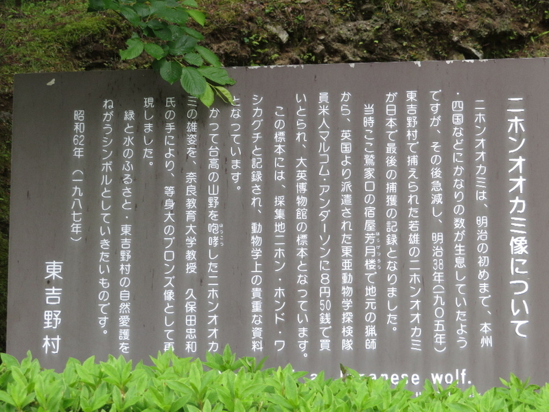 イメージ 7
