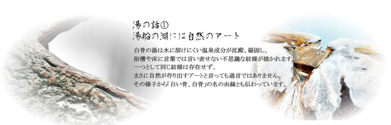 イメージ 19