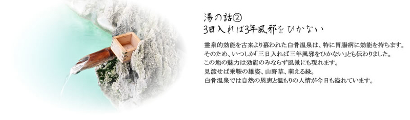 イメージ 20