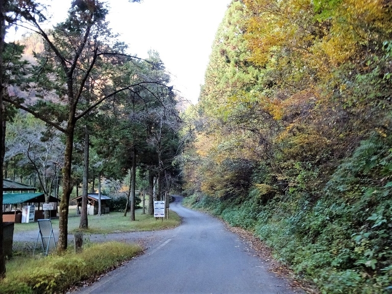 イメージ 6
