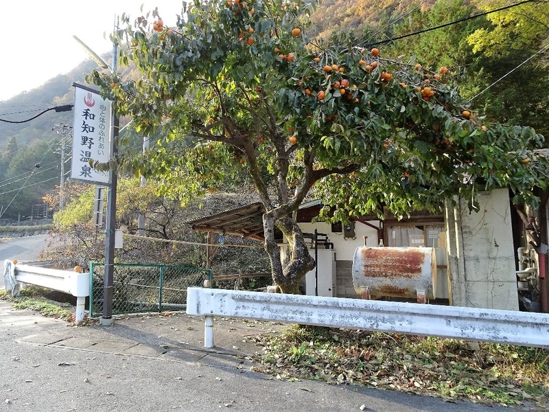 イメージ 7