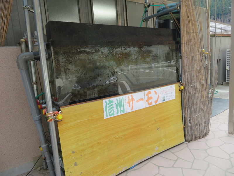 イメージ 9