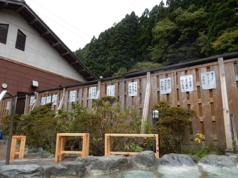 イメージ 16