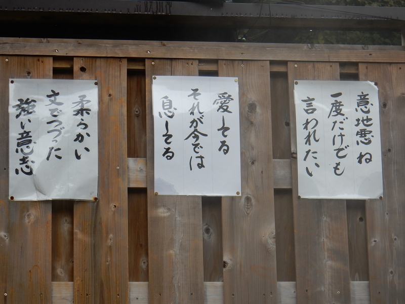 イメージ 17