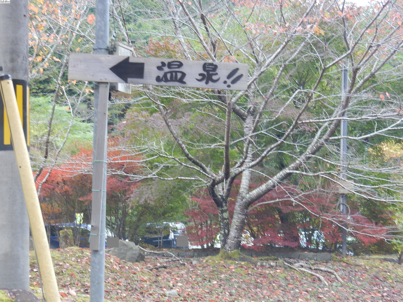 イメージ 18
