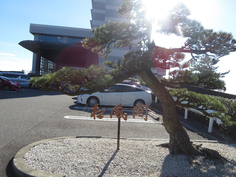 イメージ 6