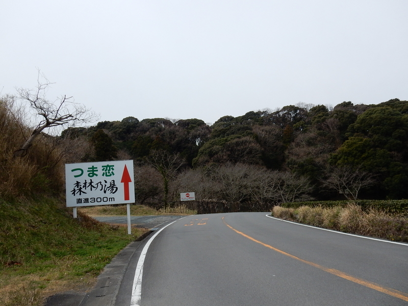 イメージ 10
