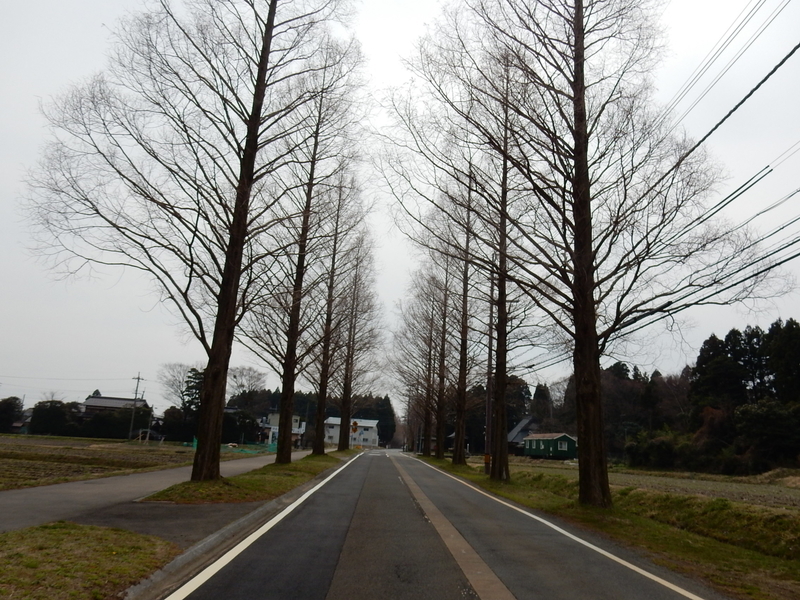 イメージ 20
