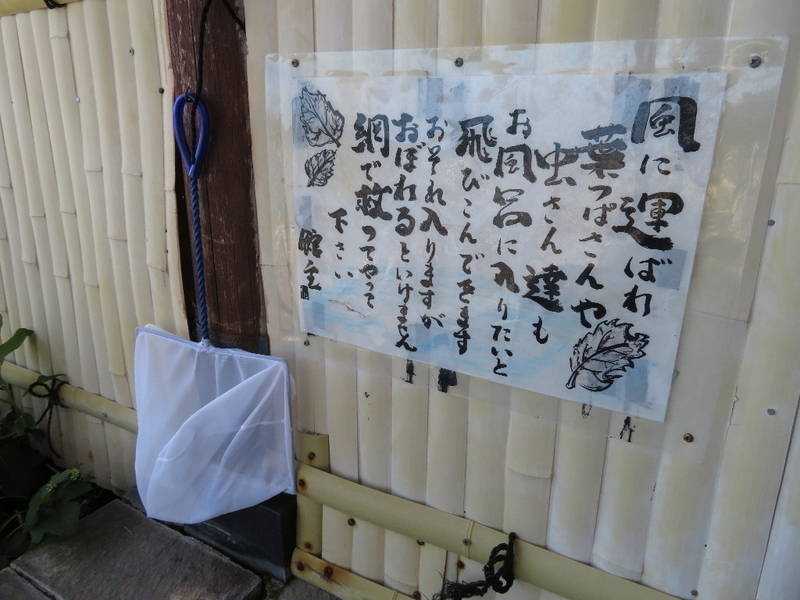 イメージ 23