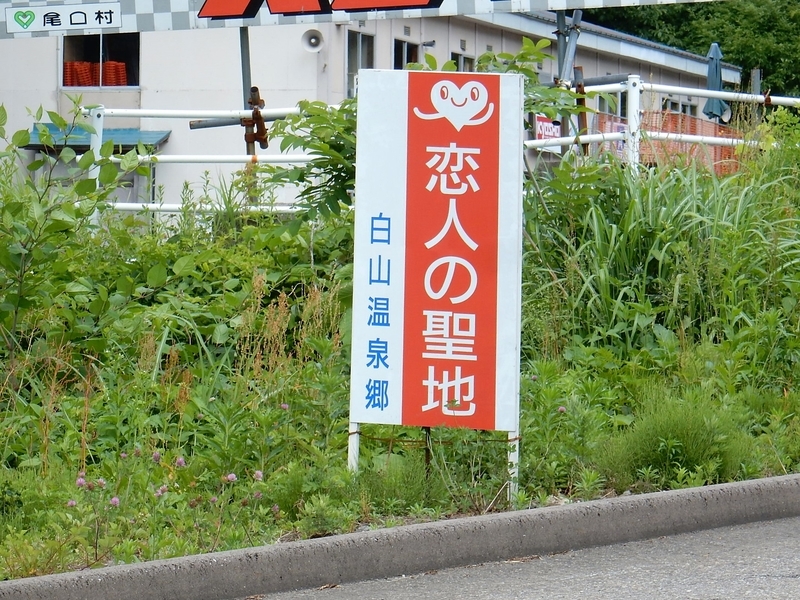 イメージ 7
