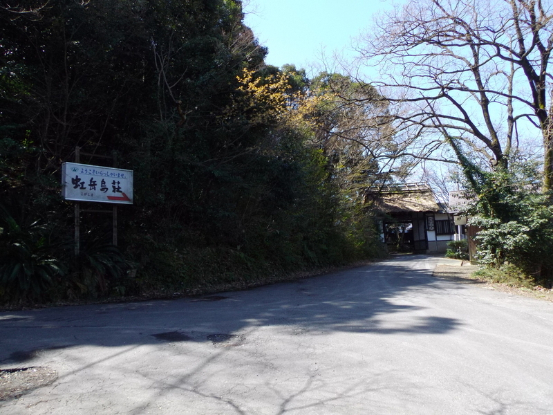 イメージ 13