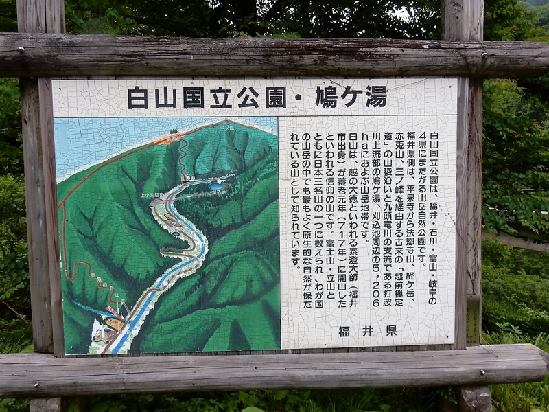イメージ 17