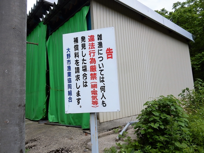 イメージ 9