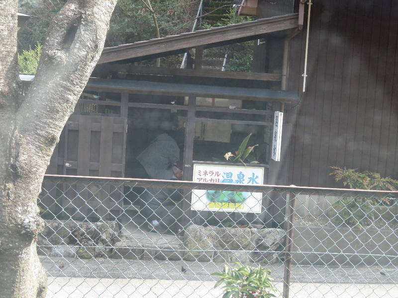 イメージ 10