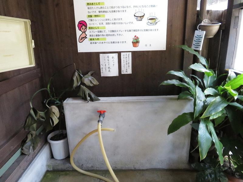 イメージ 7