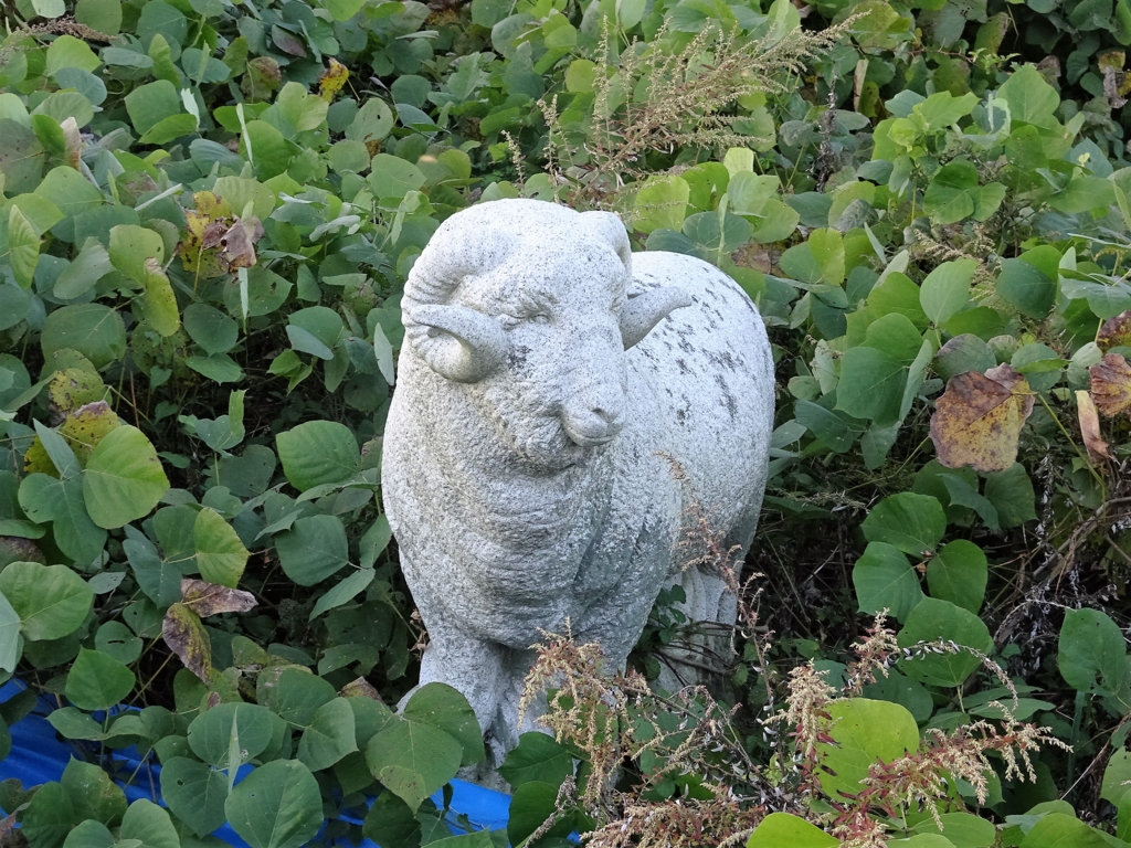 f:id:poseidonttzr:20161118165632j:plain f:id:poseidonttzr:20161118165632j:plain