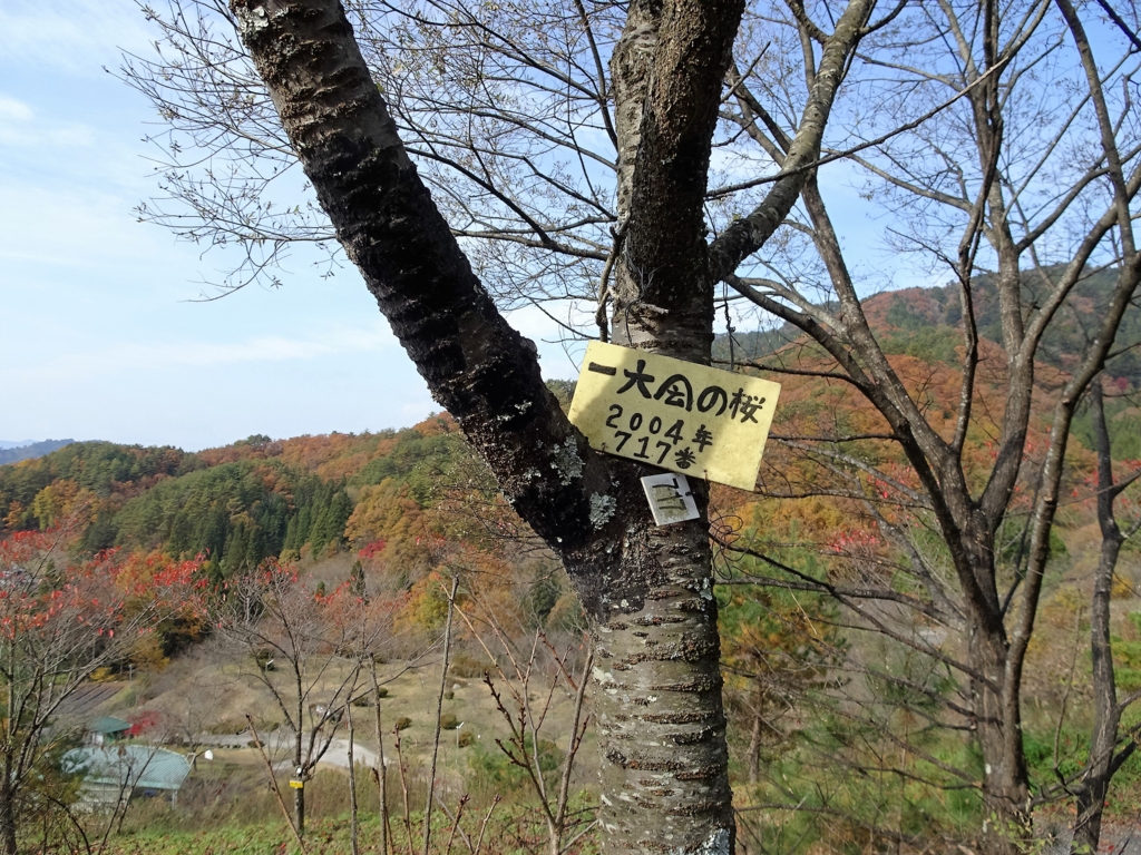 f:id:poseidonttzr:20161202190536j:plain f:id:poseidonttzr:20161202190536j:plain