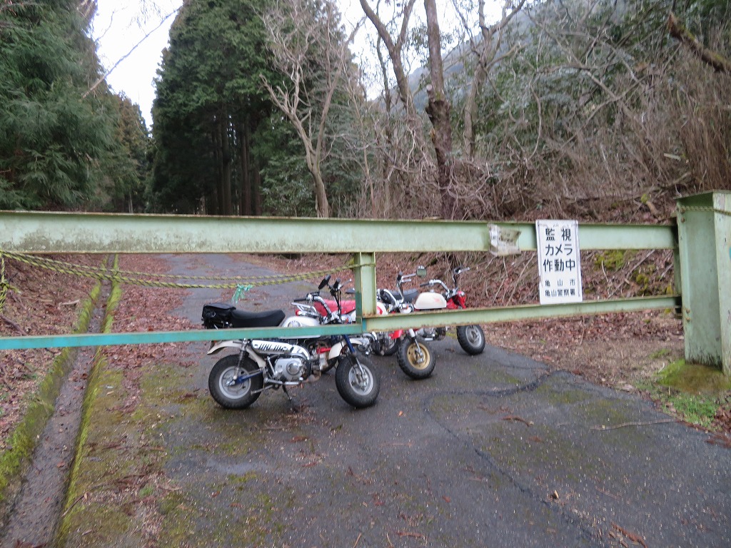 f:id:poseidonttzr:20190319110428j:plain f:id:poseidonttzr:20190319110428j:plain