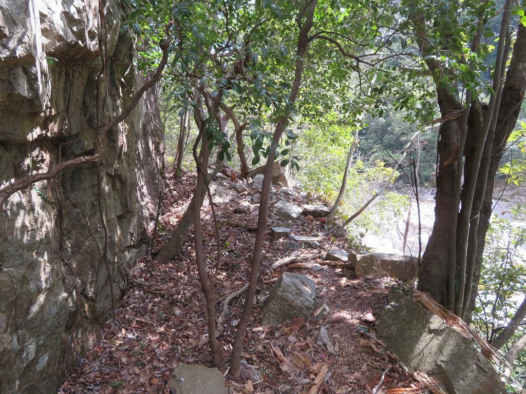 f:id:poseidonttzr:20190409111337j:plain f:id:poseidonttzr:20190409111337j:plain