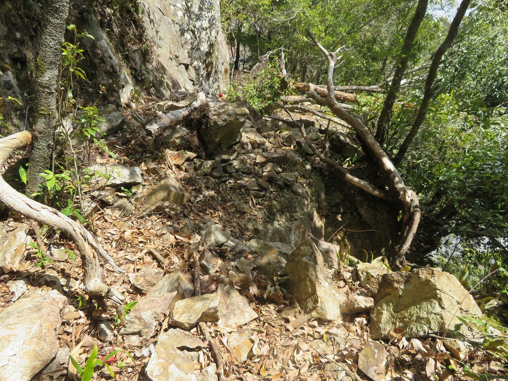 f:id:poseidonttzr:20190409111641j:plain f:id:poseidonttzr:20190409111641j:plain