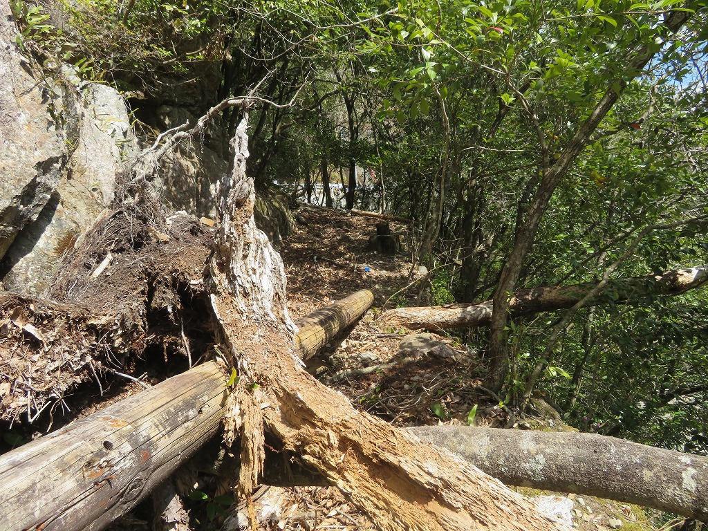 f:id:poseidonttzr:20190409111712j:plain f:id:poseidonttzr:20190409111712j:plain