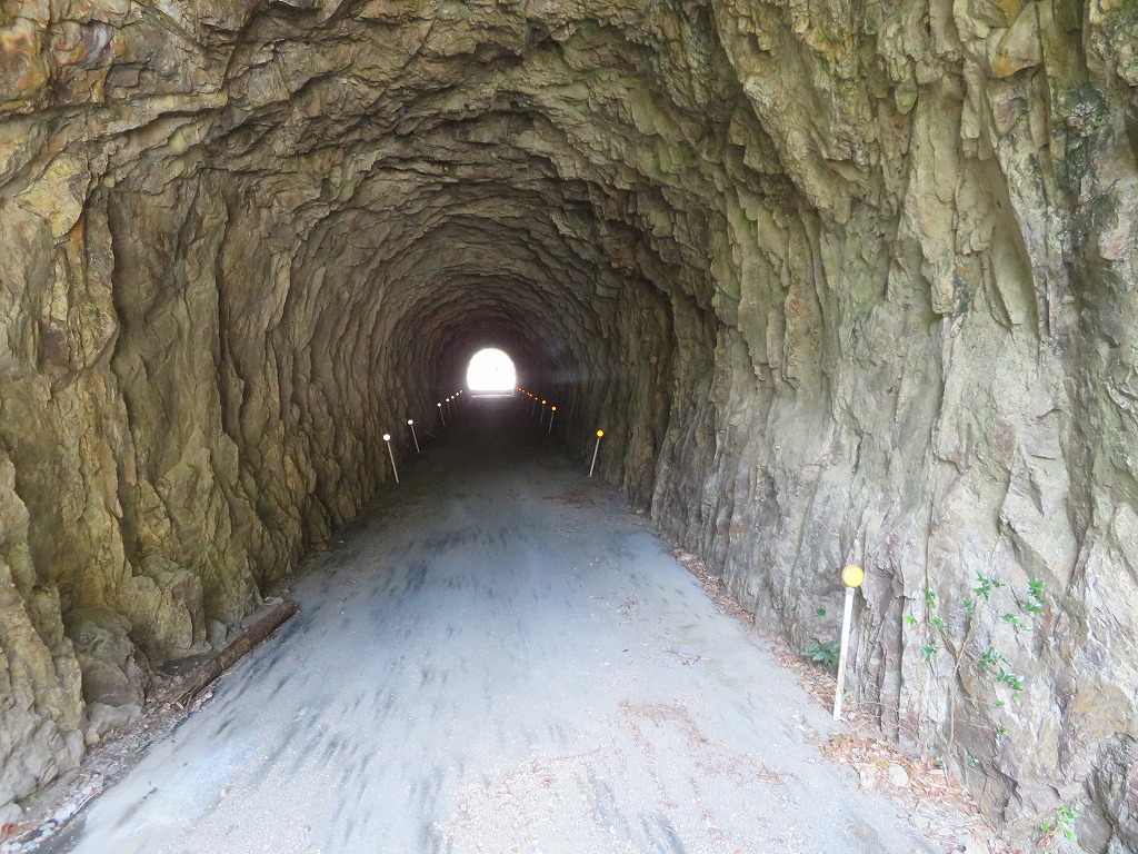 f:id:poseidonttzr:20190409112059j:plain f:id:poseidonttzr:20190409112059j:plain