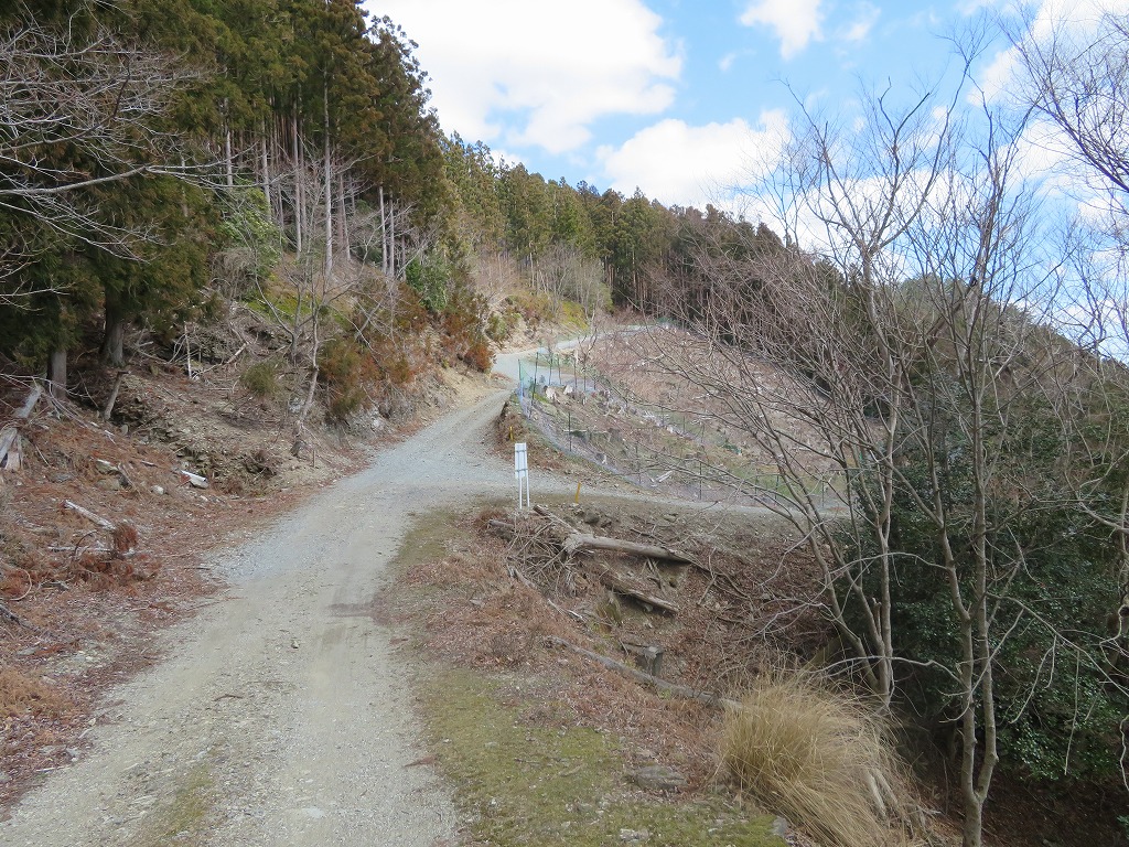 f:id:poseidonttzr:20190415164303j:plain f:id:poseidonttzr:20190415164303j:plain