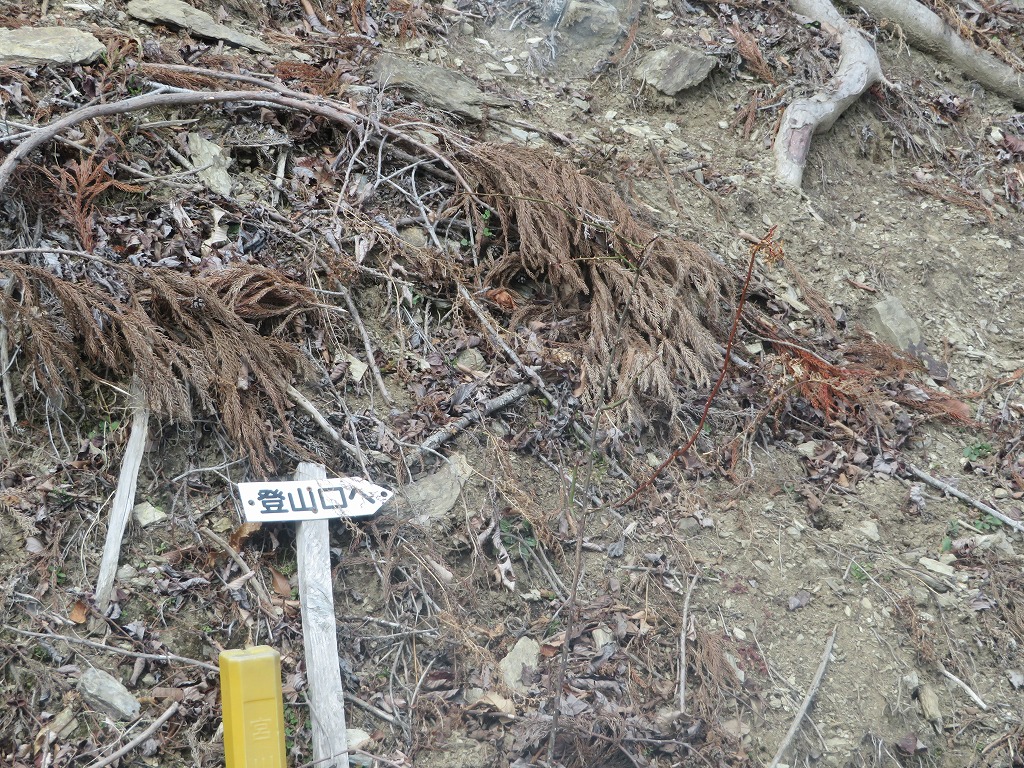 f:id:poseidonttzr:20190415164643j:plain f:id:poseidonttzr:20190415164643j:plain