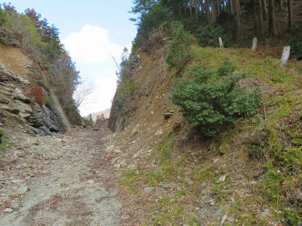 f:id:poseidonttzr:20190415171002j:plain f:id:poseidonttzr:20190415171002j:plain