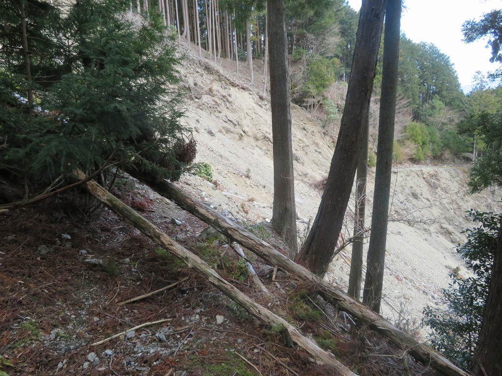 f:id:poseidonttzr:20190415172623j:plain f:id:poseidonttzr:20190415172623j:plain