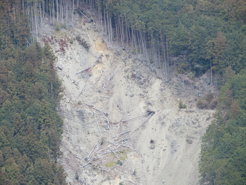 f:id:poseidonttzr:20190415173010j:plain f:id:poseidonttzr:20190415173010j:plain