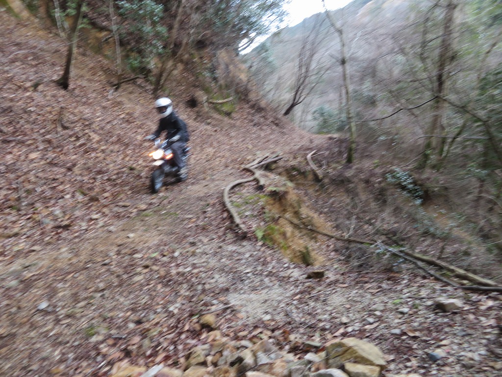 f:id:poseidonttzr:20190417174026j:plain