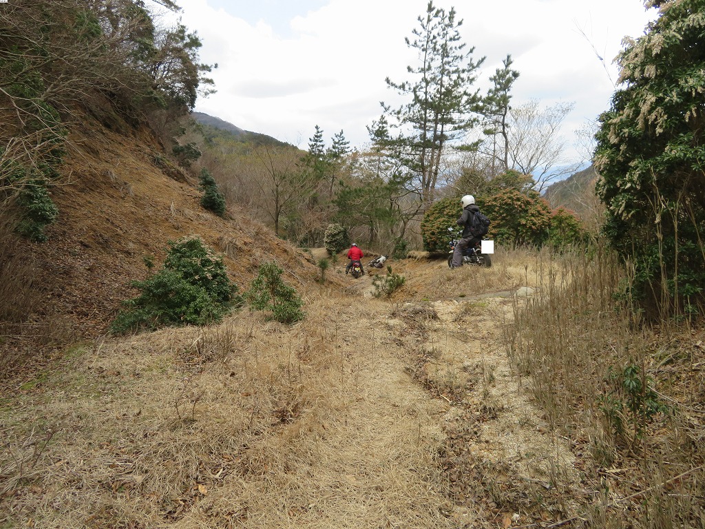 f:id:poseidonttzr:20190417180037j:plain