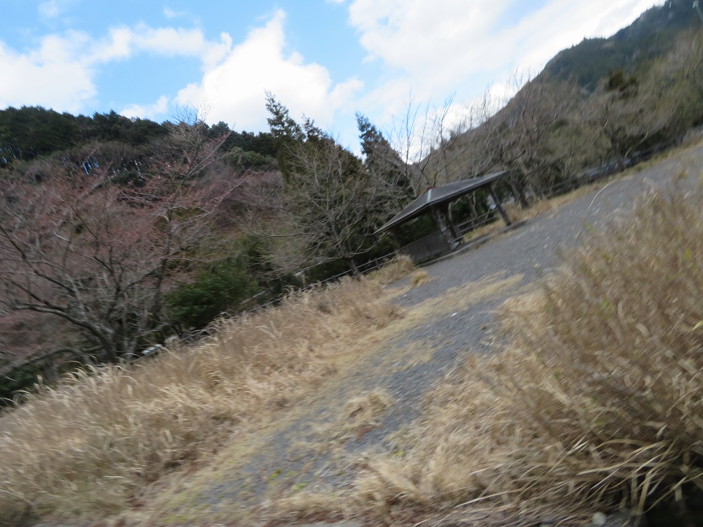 f:id:poseidonttzr:20190417181736j:plain