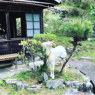 f:id:poseidonttzr:20190426105247j:plain f:id:poseidonttzr:20190426105247j:plain