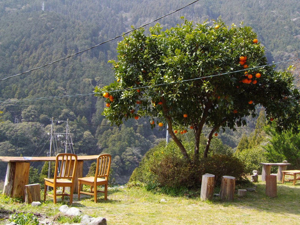 f:id:poseidonttzr:20190426110305j:plain f:id:poseidonttzr:20190426110305j:plain