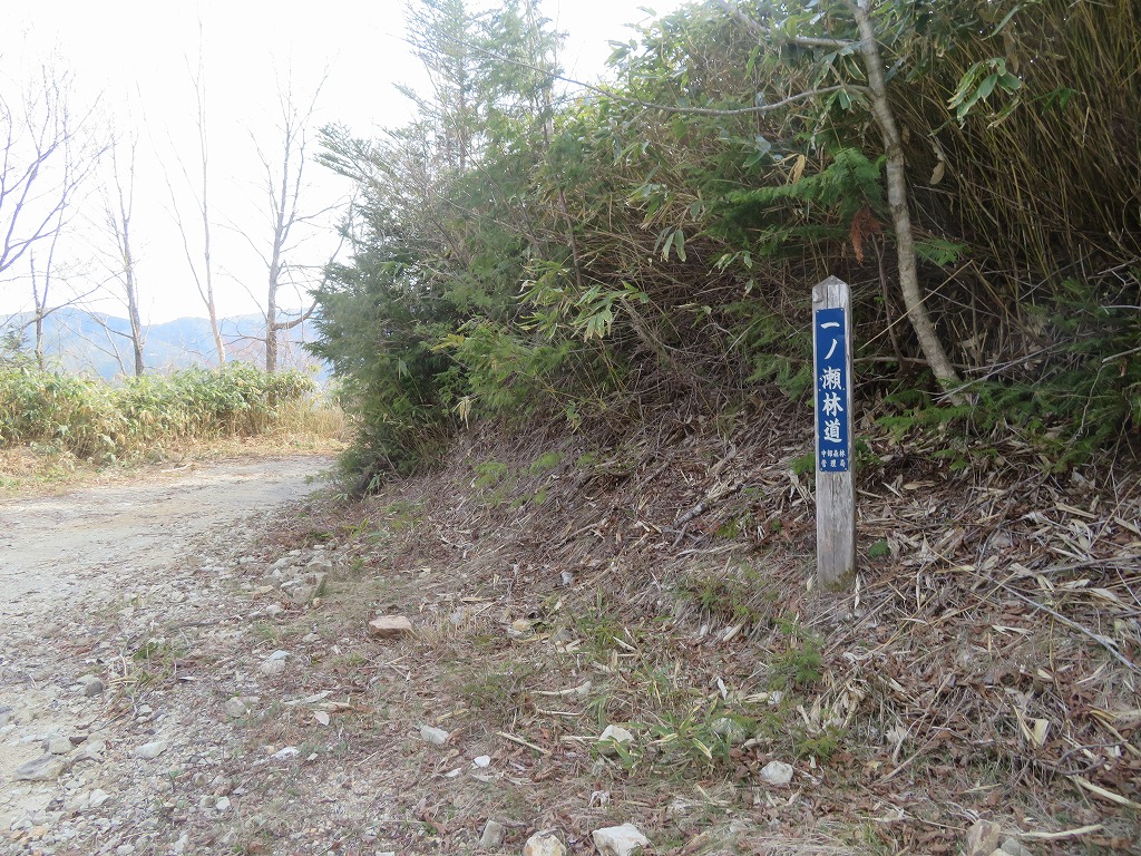 f:id:poseidonttzr:20190513163621j:plain