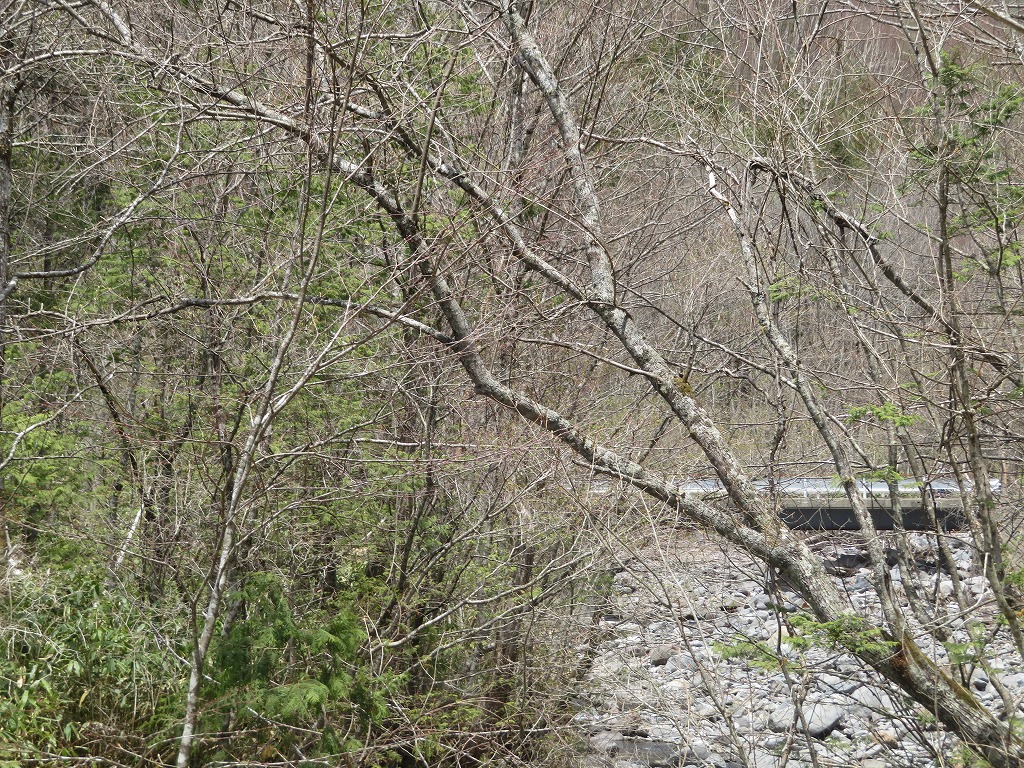 f:id:poseidonttzr:20190527171246j:plain f:id:poseidonttzr:20190527171246j:plain