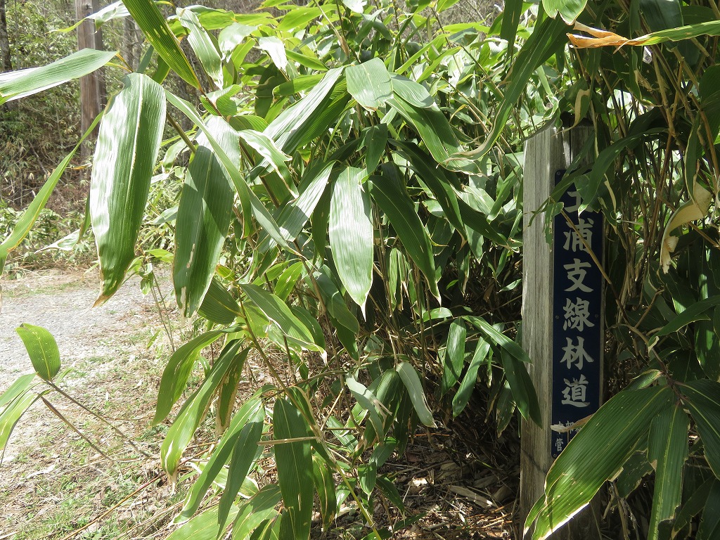 f:id:poseidonttzr:20190527172005j:plain f:id:poseidonttzr:20190527172005j:plain