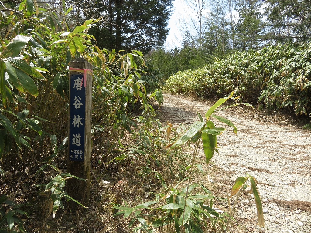 f:id:poseidonttzr:20190527173732j:plain f:id:poseidonttzr:20190527173732j:plain