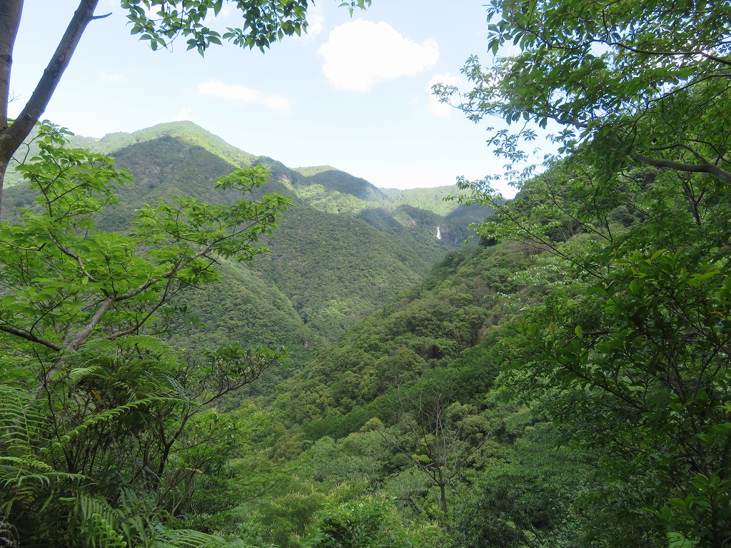 f:id:poseidonttzr:20190617085519j:plain f:id:poseidonttzr:20190617085519j:plain