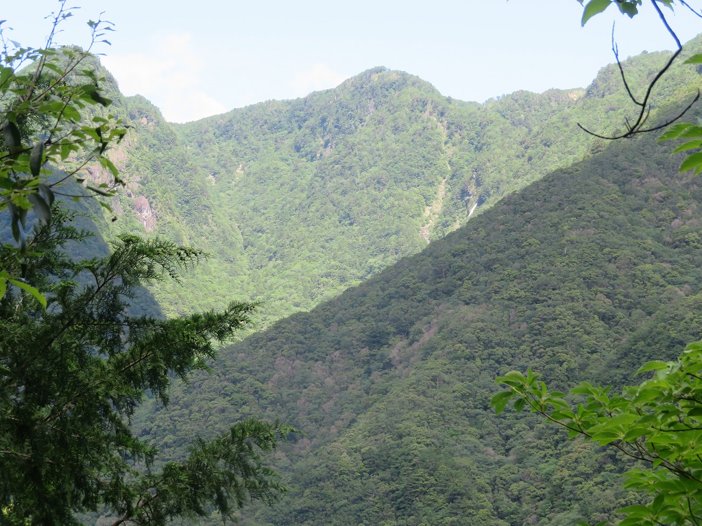 f:id:poseidonttzr:20190617085615j:plain f:id:poseidonttzr:20190617085615j:plain