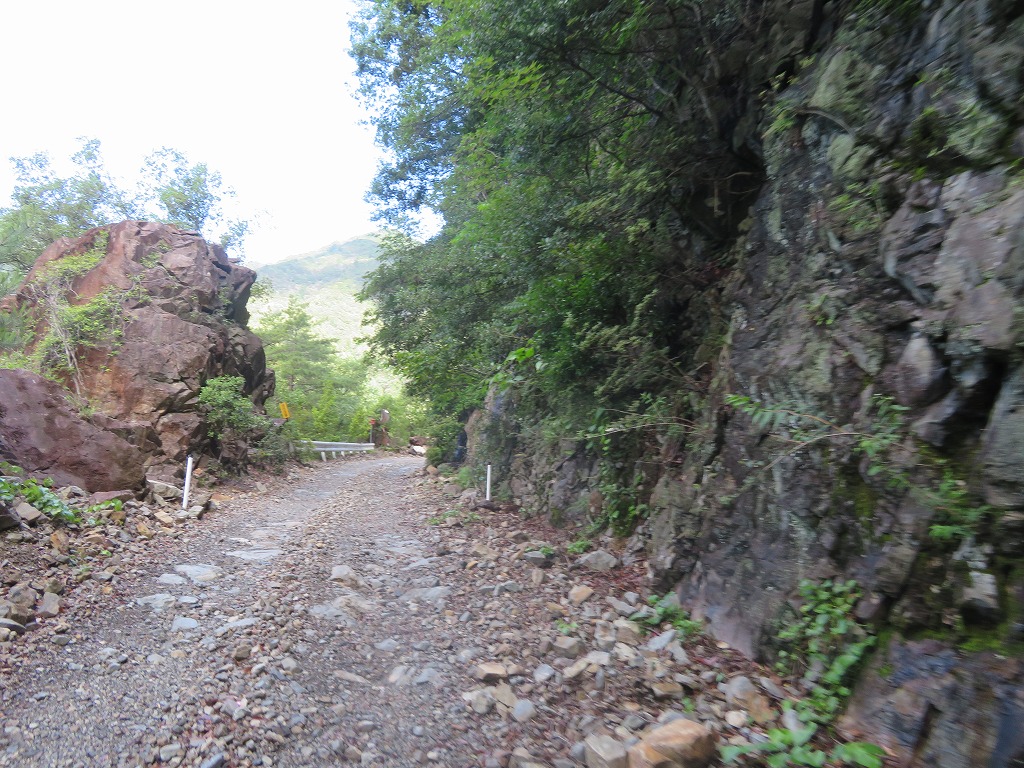 f:id:poseidonttzr:20190617085955j:plain f:id:poseidonttzr:20190617085955j:plain