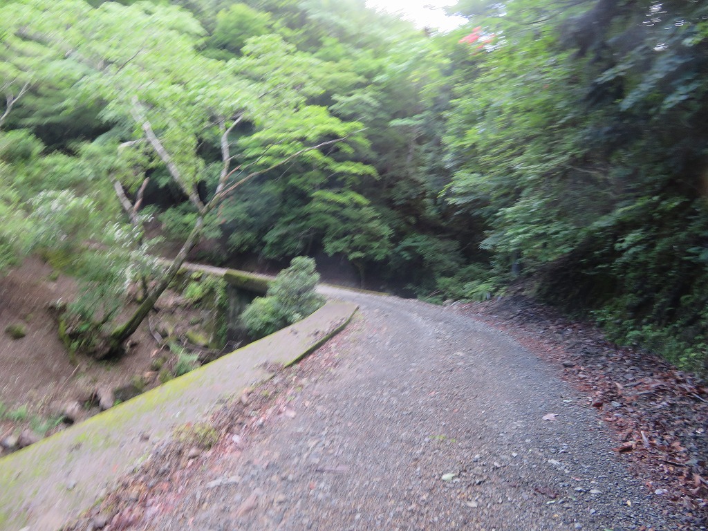 f:id:poseidonttzr:20190617090157j:plain f:id:poseidonttzr:20190617090157j:plain