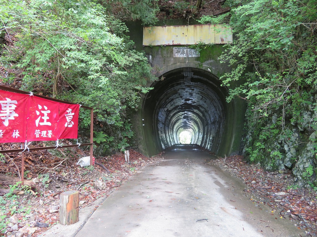 f:id:poseidonttzr:20190617090811j:plain f:id:poseidonttzr:20190617090811j:plain