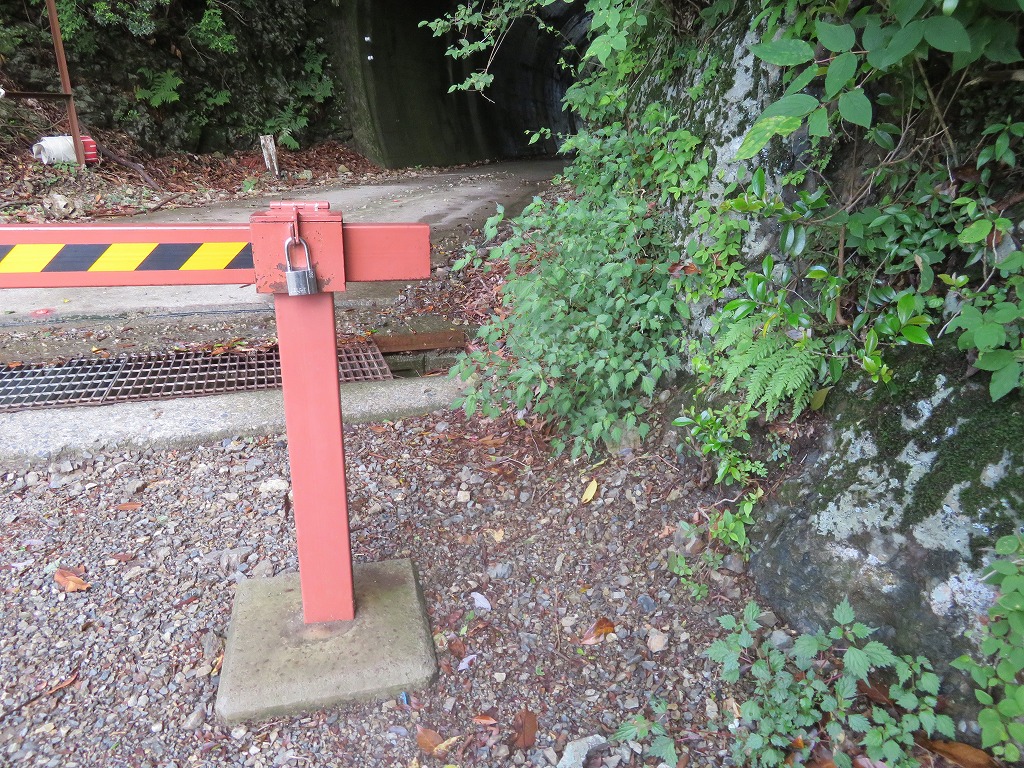 f:id:poseidonttzr:20190617091053j:plain f:id:poseidonttzr:20190617091053j:plain