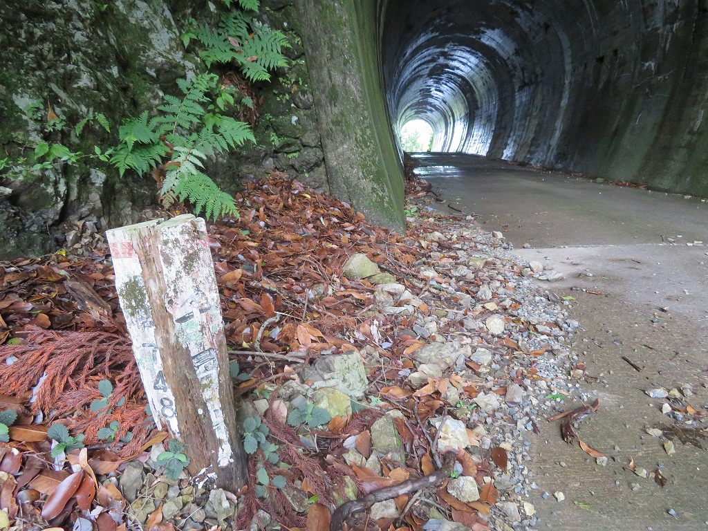 f:id:poseidonttzr:20190617091758j:plain f:id:poseidonttzr:20190617091758j:plain