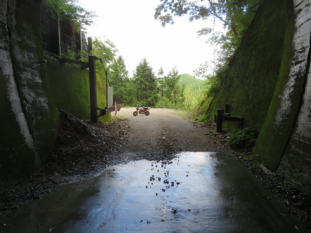 f:id:poseidonttzr:20190617091930j:plain f:id:poseidonttzr:20190617091930j:plain