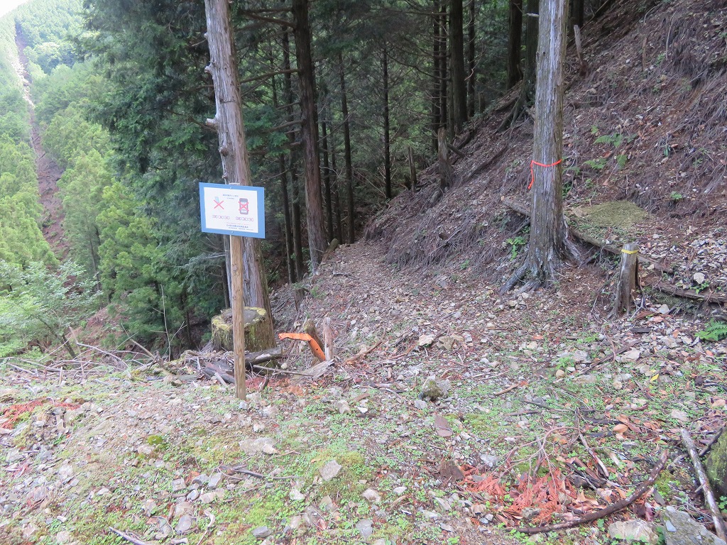 f:id:poseidonttzr:20190617092942j:plain f:id:poseidonttzr:20190617092942j:plain